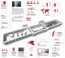 Tartu_loodusmuuseum_marihunt_2